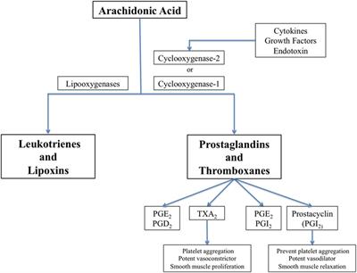 Neuroinflammation as a Target for Intervention in Subarachnoid Hemorrhage